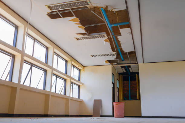 Best Water damage restoration near me  in Medina, TN