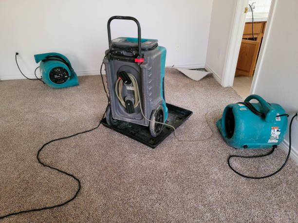 Best Commercial water damage restoration  in Medina, TN