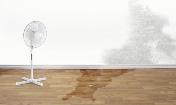 Water damage restoration experts in Medina, TN