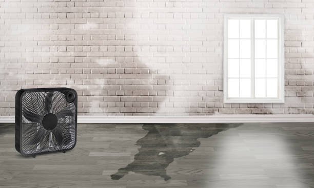 Best Emergency water damage restoration  in Medina, TN