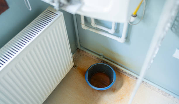 Best Ceiling water damage repair  in Medina, TN