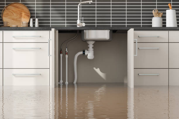 Best Flood restoration services  in Medina, TN