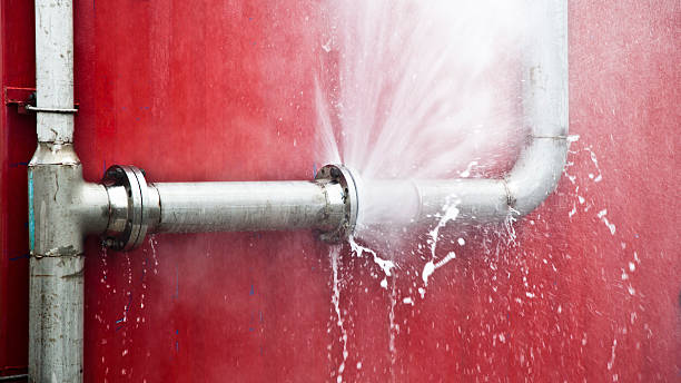 Best Water damage mitigation services  in Medina, TN